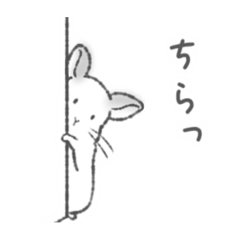 [LINEスタンプ] 日常的なチンチラスタンプ