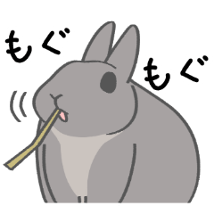 [LINEスタンプ] もしも、うさぎと一緒なら 第2弾