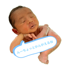 [LINEスタンプ] こーちゅけ♡