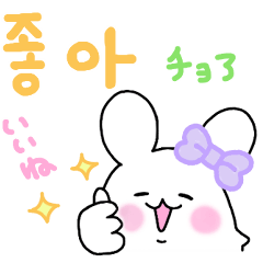 [LINEスタンプ] もふもふウサギ2（韓国語）の画像（メイン）