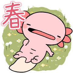 [LINEスタンプ] まったりウーパールーパー[春]