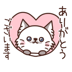 [LINEスタンプ] ヒマラヤン猫もりスタンプ登場！敬語編