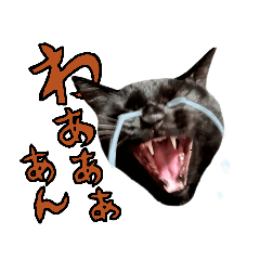 [LINEスタンプ] 【日本ネコスク】戦ですね…