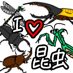 [LINEスタンプ] 昆虫大好きさんに捧げる毎日使いやすい言葉の画像（メイン）
