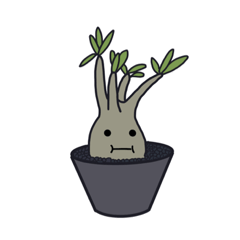 [LINEスタンプ] 塊根植物のパキポディウグラキリスちゃん