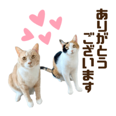 [LINEスタンプ] 寅次郎とさくらPart2