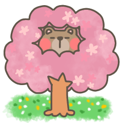 [LINEスタンプ] 春はのんびりくまちゃんLIFE