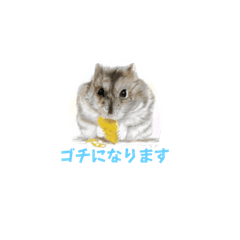 [LINEスタンプ] 犬・猫・ハムスター可愛いstamp