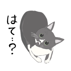 [LINEスタンプ] 猫のもちゃん