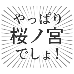 [LINEスタンプ] 桜ノ宮生活の画像（メイン）