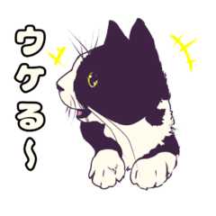 [LINEスタンプ] 猫が良ければそれでいい