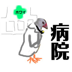 [LINEスタンプ] 桜文鳥わすけ ホワイティーのご予定の画像（メイン）