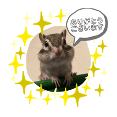 [LINEスタンプ] うちのあめ2