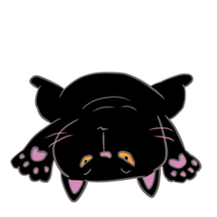 [LINEスタンプ] 黒猫のクロ1