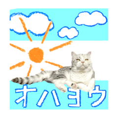 [LINEスタンプ] 【公式】乱痴気の日常スタンプ