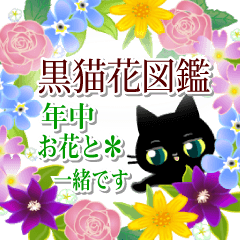 [LINEスタンプ] 年中お花と一緒です☆黒猫花図鑑(改)の画像（メイン）