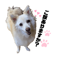 [LINEスタンプ] かわいいねプクちゃん