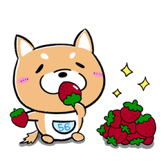 [LINEスタンプ] 豆柴ころ「ころころスタンプ」 -はる-