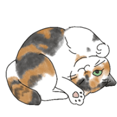 [LINEスタンプ] 猫詰め