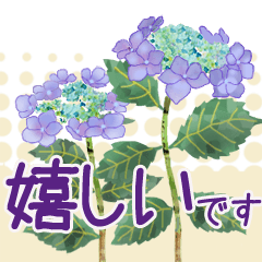 [LINEスタンプ] 花の挨拶文2