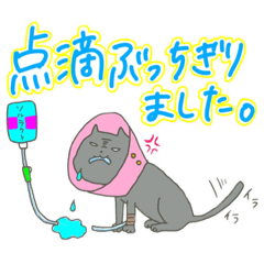 [LINEスタンプ] 動物病院の為のスタンプ