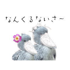 [LINEスタンプ] 鳥どり(ハシビロコウ·文鳥etc)の日常