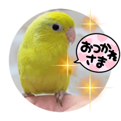 [LINEスタンプ] うーちゃんとキョロ