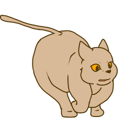 [LINEスタンプ] 猫 キャット トトト スタンプ