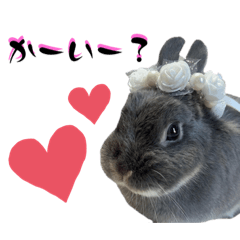 [LINEスタンプ] あんちゃんのまいにち♡
