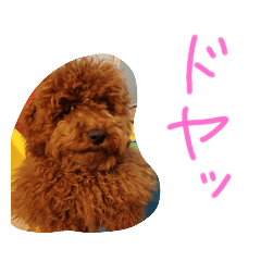 [LINEスタンプ] かわいいもじゃスタンプ第二弾