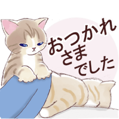 [LINEスタンプ] いつもの猫☆いつものあいさつ