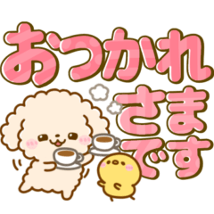 [LINEスタンプ] トイプードルがいっぱい♡気遣い長文敬語