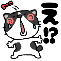 [LINEスタンプ] ハチワレ猫ちゃんと一緒