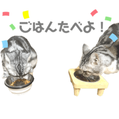 [LINEスタンプ] まーとはち