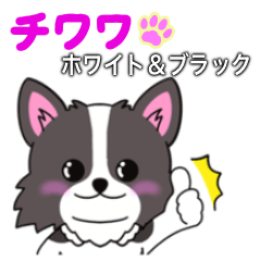 [LINEスタンプ] ホワイト＆ブラックチワワちゃん【修正版】