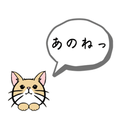 [LINEスタンプ] 猫がいるだけ(お話①)