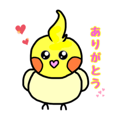 [LINEスタンプ] オカメちゃんだょ（ルチノー）