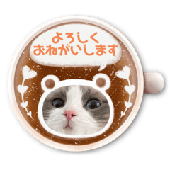 [LINEスタンプ] ふだんづかいのラグドールのラムちゃん5