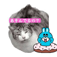 [LINEスタンプ] アニマルパワー