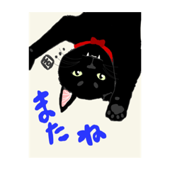 [LINEスタンプ] 猫あるある。のあナナちろ