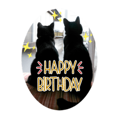[LINEスタンプ] なりんちの黒猫とポメラニアンのカイくん
