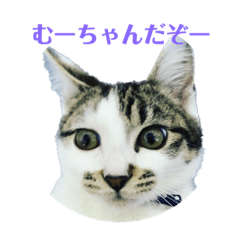 [LINEスタンプ] むーちゃんのおひるね