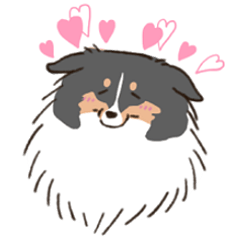 [LINEスタンプ] 犬生を楽しむシェルティ(トライ)