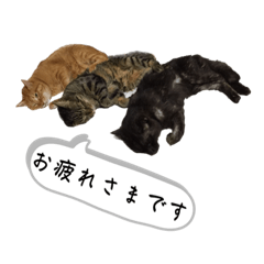 [LINEスタンプ] with Photo