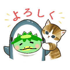 [LINEスタンプ] 猫とかっぱくんの日常使える挨拶スタンプ他