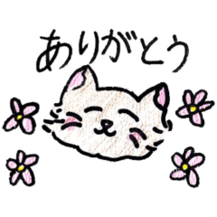 [LINEスタンプ] いつでも使える！ねこスタンプ