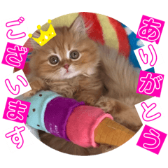 [LINEスタンプ] ねこまーち クリスタルプリンス