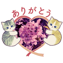 [LINEスタンプ] 桜にゃー