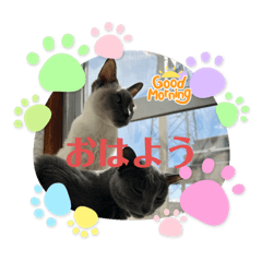 [LINEスタンプ] ロシアンとトンキ02