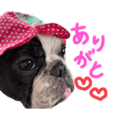 [LINEスタンプ] むぎちと愉快な仲間達